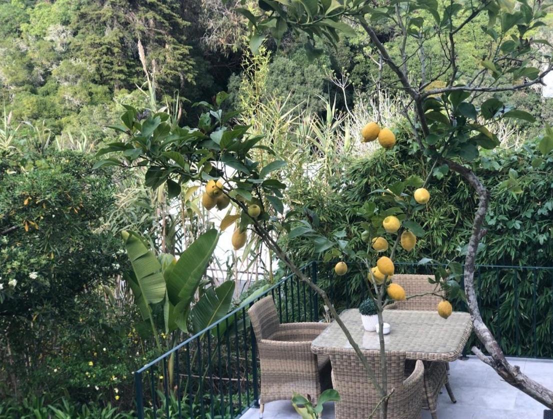 Casa Holstein Quinta De Sao Sebastiao Sintra Hotel Ngoại thất bức ảnh
