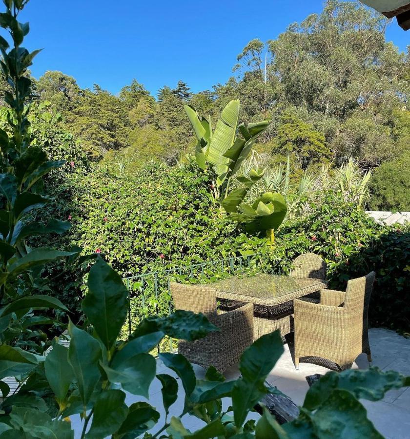 Casa Holstein Quinta De Sao Sebastiao Sintra Hotel Ngoại thất bức ảnh